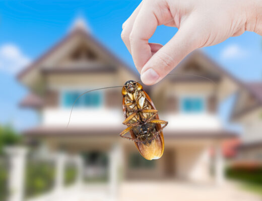 As a homeowner, you need to be aware of the common signs of a pest infestation. If you notice any of these warning signs, then it's time to call pest control.