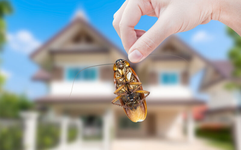 As a homeowner, you need to be aware of the common signs of a pest infestation. If you notice any of these warning signs, then it's time to call pest control.