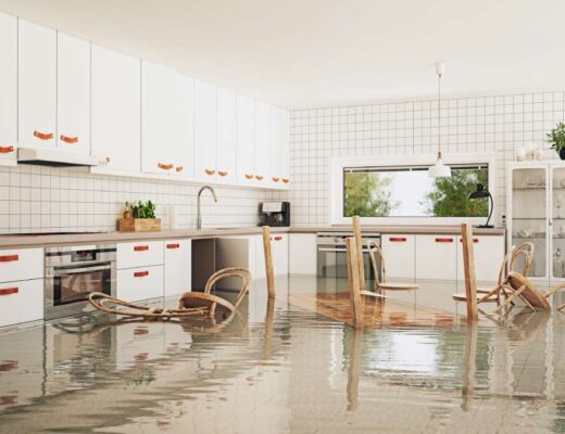 Why Professional Water Damage Repair is Essential