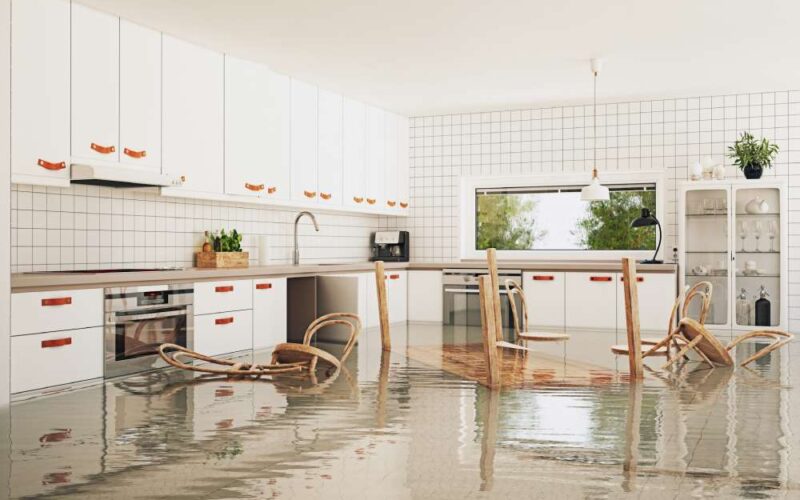 Why Professional Water Damage Repair is Essential
