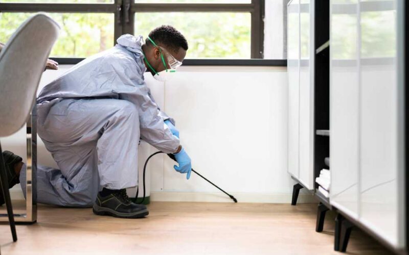 The Comprehensive Guide to Indoor Pest Control